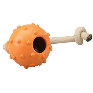 y11/4 20:00P5{z  [v {[ ł v   }bT[W y ^ ^ ^ q ɂ M-PETS PLAYhbOgC J Petifam