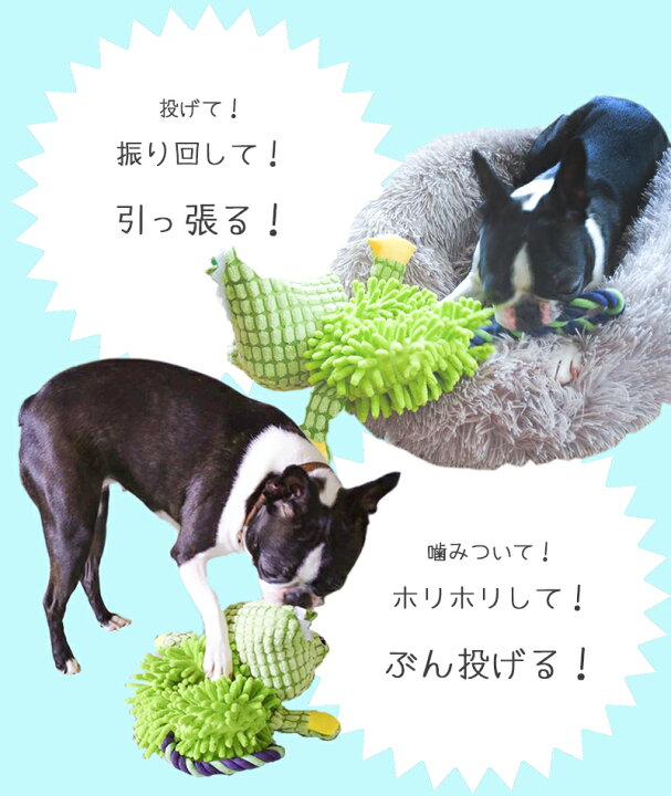 楽天市場 犬 おもちゃ 大きめ 小型犬 中型犬 子犬 おすすめ プレゼント かわいい アニマル モップ 丈夫 楽しい M Pets Playドッグトイ Animoモップ サル カバ ワニ Petifam ペットグッズ専門店petifam