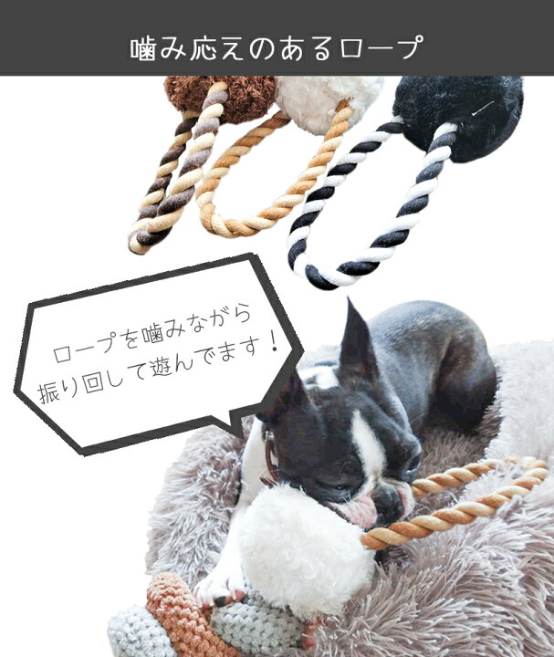 楽天市場 犬 おもちゃ 大きめ 小型犬 中型犬 子犬 おすすめ プレゼント かわいい アニマル モップ 丈夫 楽しい M Pets Playドッグトイ Animoスプリング イヌ ウシ ブタ Petifam ペットグッズ専門店petifam