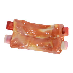  f^gC ݕȗ\h x[Rt[o[ v ɂ M-PETS CARNIVOREhbOgC Petifam