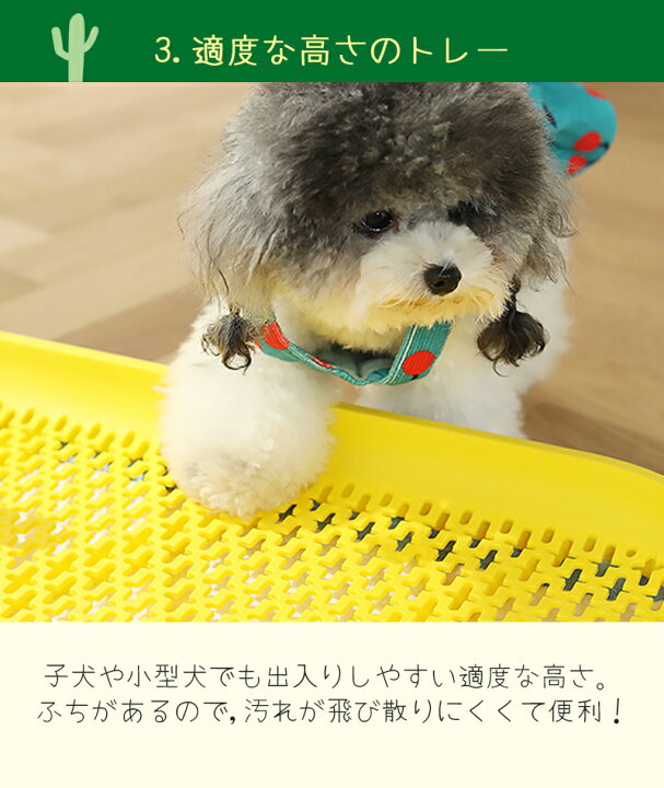 楽天市場 犬 マーキングポール メッシュ トイレ 囲い 飛び散りにくい トイレトレー おしゃれ 掃除しやすい 子犬 超小型犬 小型犬 パピー トイレトレーニング Petifam オアシスドッグトイレ レギュラー イエロー ブルー ペットグッズ専門店petifam