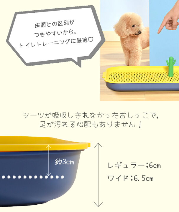 楽天市場 犬 マーキングポール メッシュ トイレ 囲い 飛び散りにくい トイレトレー おしゃれ 掃除しやすい 子犬 超小型犬 小型犬 パピー トイレトレーニング Petifam オアシスドッグトイレ レギュラー イエロー ブルー ペットグッズ専門店petifam