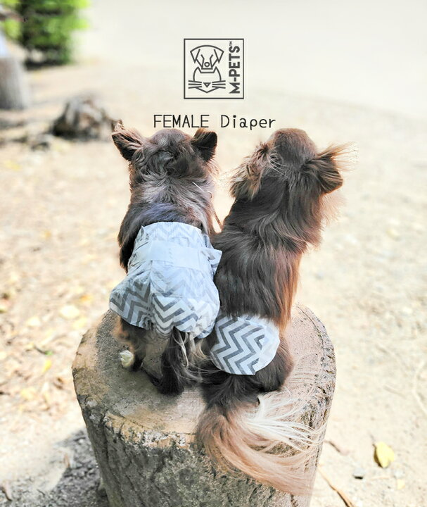 WEB限定】 60枚セット犬 おむつ 紙おむつ オムツ マナーパンツ メス しつけ お出かけ シニア 介護 ペットおむつ 超吸収 長時間吸収 おしゃれ 北 老犬 介護用 手作り 紙オムツ 4枚