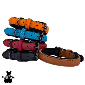   J[  {v U[ ߉\ v ^ ^ Petifam  {v S 1.5cm M 2cm ubN bh u[ IW uE