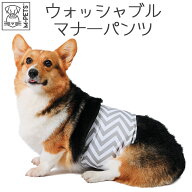 犬 オムツ カバー パッド付 マナーパンツ おしゃれ マーキング防止 しつけ 介護 シニア 子犬 小型犬 エム…