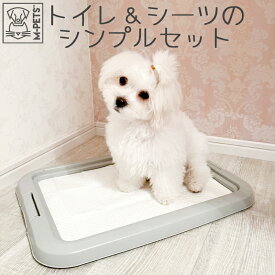 【あす楽】犬 トイレ トイレトレー シンプル 掃除しやすい 子犬 超小型犬 小型犬 パピー トイレトレーニング M-PETS ドッグトイレスターターキット レギュラー/ワイド