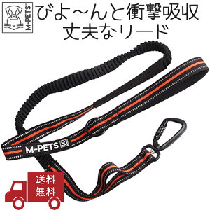 y11/14 10:00P5{z ^ ^ ^ [h ˔ ԈS  Ռz Lт ol S Lk v  g₷ S bNt   M-PETS HIKINGWM