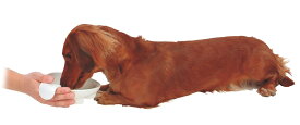 ペティオ zuttone ずっとね 老犬介護用 持ち手付食器 小 食器 樹脂 老犬介護用皿 犬 シニア期～介護期 小型犬 短毛犬 長毛犬 寝たきりや姿勢維持が難しいときの食事補助に Petio シニア