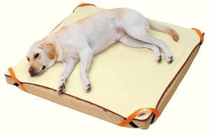 yeBI zuttone Ƃ Vp \hxbh ^pxbh E^tH|  VjA` ^ Zь ь`5kg Q≡ɂȂĂ鎖ȂƂ̉