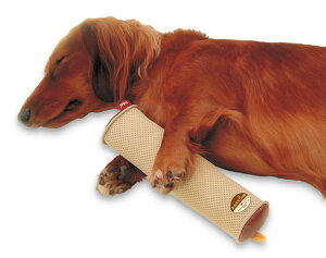 yeBI zuttone Ƃ Vp \hNbV XeBbN^  2 }bg NbV   S ^̑̏҂̗̃\h Zь ь Petio VjA