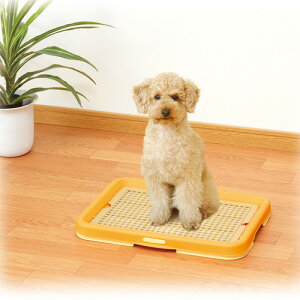 AhCg g[ p gCJo[ bV gCg[  E\ȃV[cjh~Jo[t tbg^Cv t[ЎŊȒPɊJł yeBI