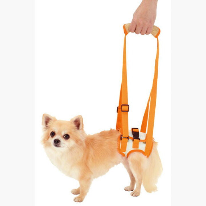 楽天市場 ペティオ Zuttone ずっとね 老犬介護用 歩行補助ハーネス 後足用k S 胴輪 ハーネス 布地 犬 介護期 超小型犬 チワワ ヨークシャーテリア ポメラニアン等 4kg 足腰の筋力が低下したときの歩行補助に 4kg Petio Petio Online Shop 楽天市場店
