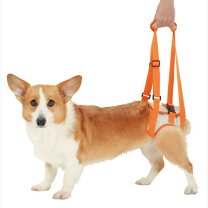 楽天市場】ペティオ zuttone ずっとね 老犬介護用 歩行補助ハーネス 後 