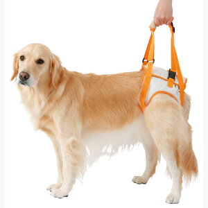 yeBI zuttone Ƃ Vp s⏕n[lX 㑫pK 3L n[lX  ^ S[fg[o[ uh[g[o[`30kg܂  ؗ s ⏕ Petio VjA