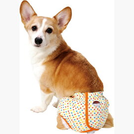 老犬介護用紙おむつカバーL