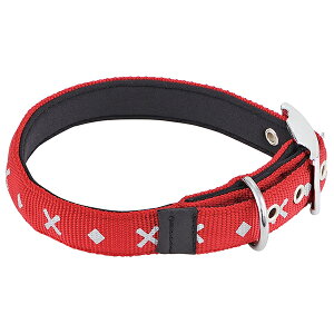 yeBI BASIC PLUS x[VbNvX NX_CJ[ L bh  ^p  J[ zn S[fg[o[ uh[g[o[ 30kg܂ F |C