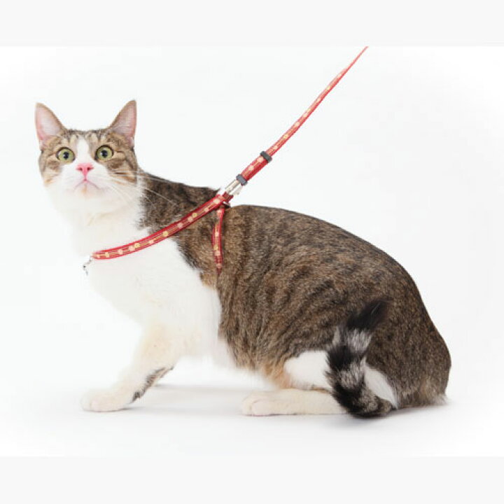 楽天市場 ペティオ 猫小町ハーネスリード 椿 レッド 赤 猫 ネコ用 胴輪リード ハーネスリード テープ 猫 ネコ 短毛 長毛 7kg かわいい椿模様のハーネスリードでネコちゃんとのおでかけに最適 Petio Petio Online Shop 楽天市場店