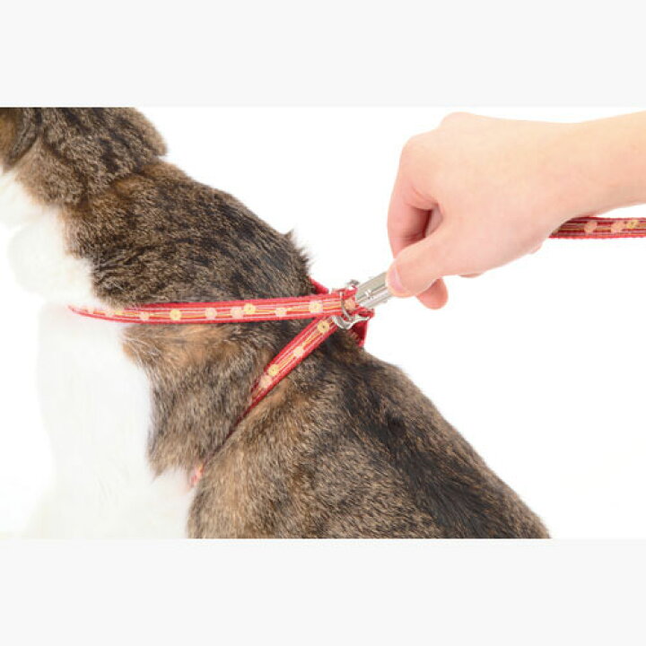 楽天市場 ペティオ 猫小町ハーネスリード 椿 レッド 赤 猫 ネコ用 胴輪リード ハーネスリード テープ 猫 ネコ 短毛 長毛 7kg かわいい椿模様のハーネスリードでネコちゃんとのおでかけに最適 Petio Petio Online Shop 楽天市場店