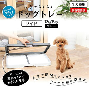 yeBI Ўł炭炭 hbOg[ O[ D Ch pgC gCg[   Ў Jł V[cȒP Petio p