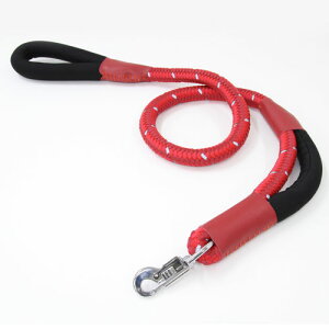 yeBI Of grande _uNbVt [h 20mm bh    o[j[Y `5kg ^E^̂߂̋xƋ@\ U[ Petio