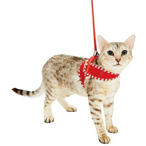 yeBI Anycat Gj[Lbg n[lX XgCv M bh  L lRp  n[lX zn Z с`7kg܂ 365C܂!܂܂ȃlRɂ҂ Petio