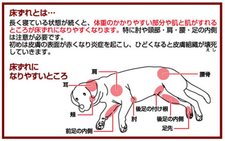 ペティオ Zuttone 床ずれ予防ベッド 大型犬 犬 大型犬用ベッド ウレタンフォ ム 老犬介護用 ずっとね シニア期 介護期