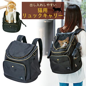 ySS|Cg10{zyeBI necoco lRR bNL[ ubN | Petio L ˂ SL L[obO LpL[ bN bNTbN [ ł h