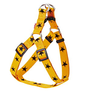 yeBI JW X^[n[lX L IW  JW ^p  n[lX zn S[fg[o[ uh[g[o[`30kg܂ ̂UɋC˂Ȃg Pet