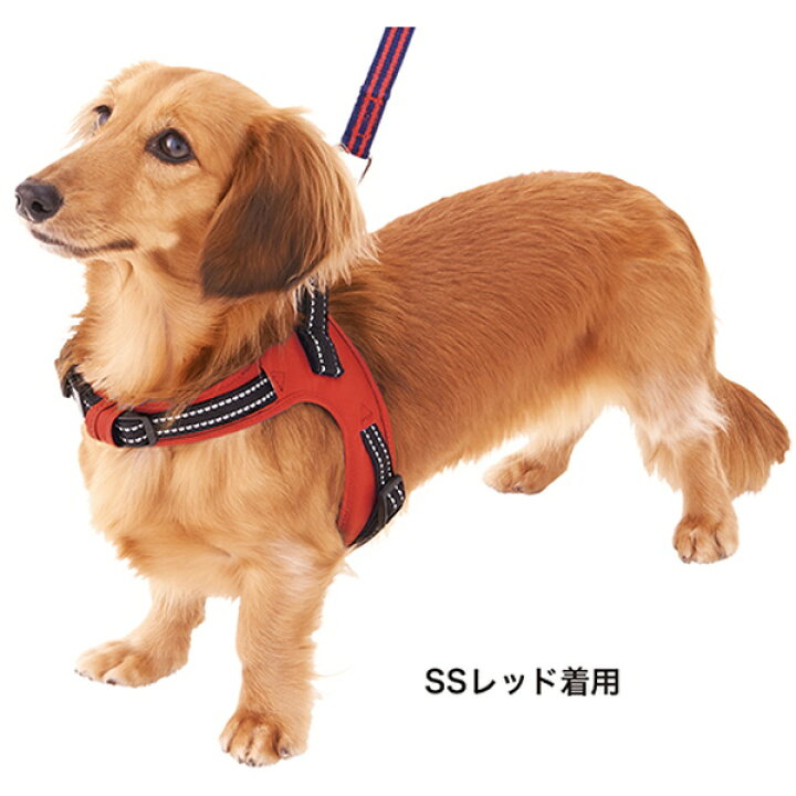 Petio ペティオ 超小型犬用 胴輪 チャーミングハーネス XS ブラック ブルー ホワイト 送料120円 人気デザイナー Petio ペティオ 超小型犬用 胴輪 チャーミングハーネス XS ブラック ブルー ホワイト 送料120円 人気デザイナー