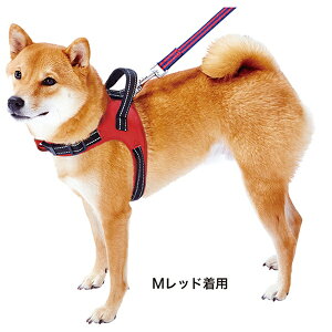 yeBI un[lX  M bh  ^p zn  ueA {[_[R[`20kg܂ ̂ɕSɂ Petio