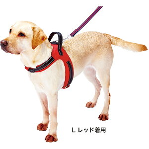 �y�e�B�I ���u�n�[�l�X ���� L ���b�h �� ��^���p ���� �n�[�l�X �z�n �S�[���f�����g���[�o�[ ���u���h�[�����g���[�o�[���`30kg�܂� �̂ɕ��S��������ɂ��� Petio