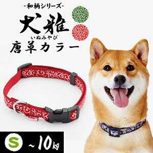 yeBI  J[ S bh | Petio p   U ^ `10kg a ͗l ȒP ^b`obN