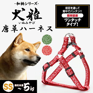 ySS|Cg10{IzyeBI  n[lX SS bh | Petio pn[lX   U ~j ^ `5kg a ͗l ȒP ^b`obN
