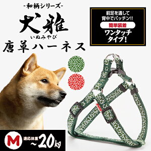 yeBI  n[lX M O[ | Petio pn[lX   U ^ `20kg a ͗l ȒP ^b`obN