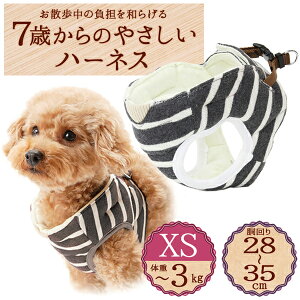 yeBI 7΂̂₳n[lX {[_[ XS O[ | Petio pn[lX   U ~j ^ `3kg \tgł₳Sn OK VjA