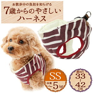 yeBI 7΂̂₳n[lX {[_[ XS bh | Petio pn[lX   U ~j ^ `3kg \tgł₳Sn OK VjA