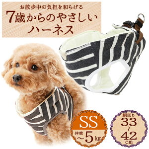 yeBI 7΂̂₳n[lX {[_[ SS O[ | Petio pn[lX   U ^`5kg \tgł₳Sn OK VjA