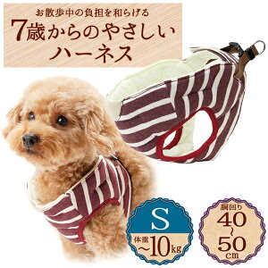 yeBI 7΂̂₳n[lX {[_[ S bh | Petio pn[lX   U ^`10kg \tgł₳Sn OK VjA