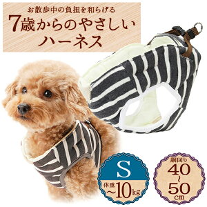 yeBI 7΂̂₳n[lX {[_[ S O[ | Petio pn[lX   U ^`10kg \tgł₳Sn OK VjA