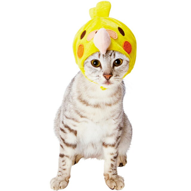楽天市場 ペティオ 猫用変身ほっかむり オカメインコ キャップ 服 キャットウェア コスプレ 猫 ねこ ネコ 短毛猫 長毛猫 かぶせてみたくなる おもしろデザイン Sns ブログなどの撮影にもピッタリ Petio Petio Online Shop 楽天市場店