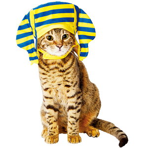 おもしろ コスプレ 猫用ペット服の人気商品 通販 価格比較 価格 Com