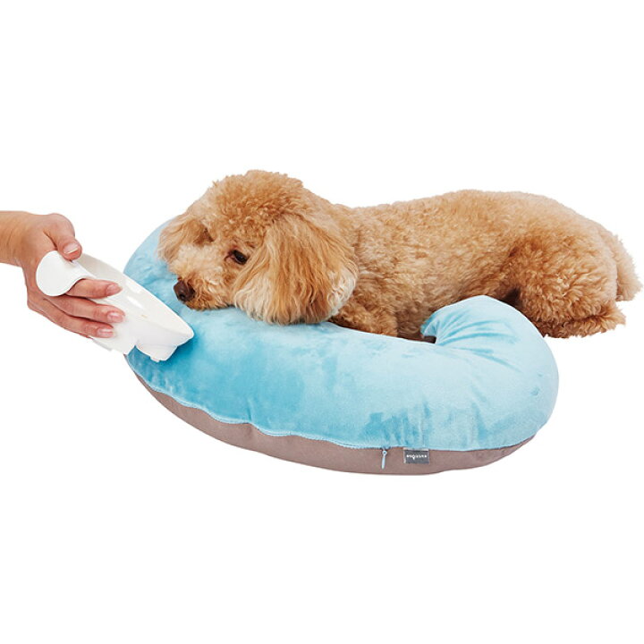 楽天市場 ペティオ Zuttone ずっとね 姿勢を保持するやさしいビーズクッション 小 S 犬舎 運搬 シニア期 介護期 全犬種 猫 ネコ イヌ 寝たきりを防ぐための姿勢保持や 体位変換の補助に Petio Petio Online Shop 楽天市場店