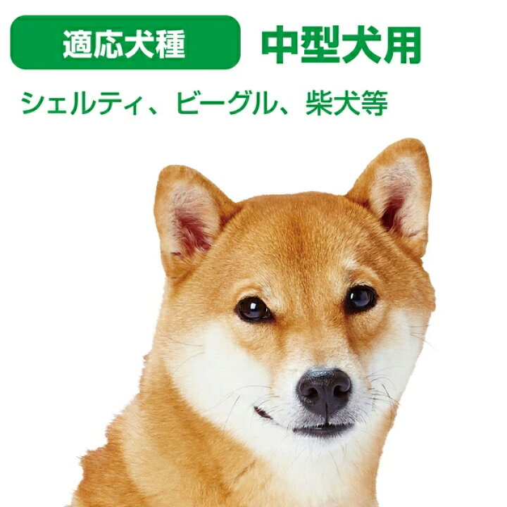 楽天市場 ペティオ 歯みがきロープ M 中型犬用おもちゃ コットン 柴犬 ビーグル等 噛んで遊んで歯みがき効果 愛犬のしつけ 訓練用イライラ時に 遊びながら噛むことで歯と歯茎の健康維持のために デンタル 噛んで 遊んで 歯みがき効果 Petio Petio Online Shop 楽天市場店