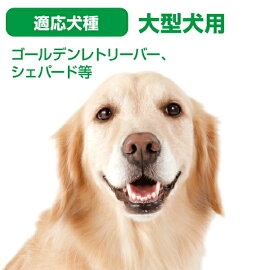 楽天市場 ペティオ 歯みがきロープ L 大型犬用おもちゃ コットン 大型犬 ゴールデンレトリーバー等 噛んで遊んで歯みがき効果 愛犬のしつけ 訓練用 イライラ時に 愛犬の歯と歯茎の健康維持のために デンタル 噛んで 遊んで 歯みがき効果 Petio Petio Online Shop 楽天