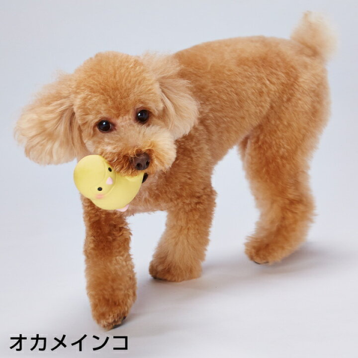 楽天市場 ペティオ ぴよぴよインコ日和 セキセイインコ 中綿入りラテックス 笛付き 犬用おもちゃ インコの楽しい日常 超小型犬 小型犬 短毛犬 長毛犬 Petio Petio Online Shop 楽天市場店