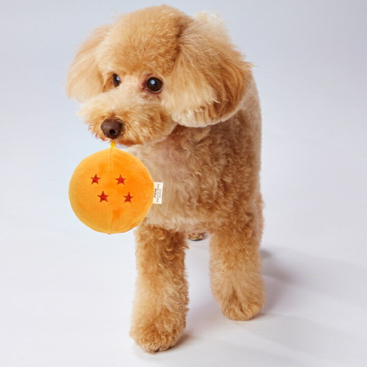 楽天市場 ペティオ ドラゴンボール スクイーカーボール 四星球 スーシンチュウ 犬用おもちゃ 音が鳴る笛付き 超小型犬 小型犬 キャラペティ Dragon Ball 投げて転がして一緒に遊ぶ 短毛犬 長毛犬 Petio Petio Online Shop 楽天市場店