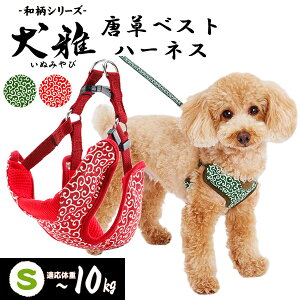 yeBI  xXgn[lX S bh | Petio pn[lX   U ^ `10kg a ͗l ȒP ^b`obN ʋC