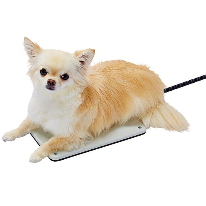 楽天市場 アドメイト ペット用リバーシブル電気 ヒーター ハード S 暖房 犬 猫 うさぎ用 Add Mate Petio Online Shop 楽天市場店