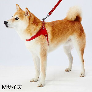 yeBI Porta |^ \tgU[xXgn[lX M bh ^ Č r[O`20kg܂  Y {  Petio