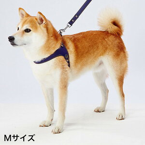 yeBI Porta |^ \tgU[xXgn[lX M lCr[ ^ Č r[O`20kg܂  Y {  Petio